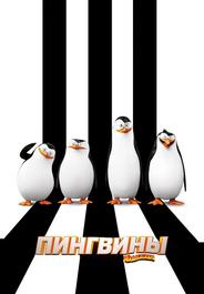 Пингвины Мадагаскара