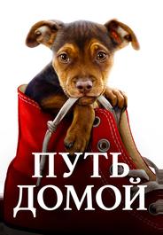 Путь домой