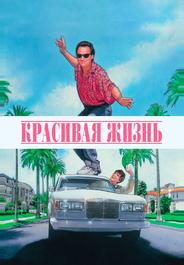Красивая жизнь