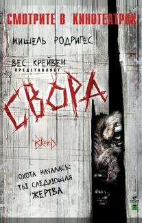 Свора