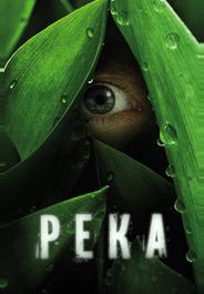 Река