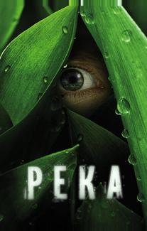 Река