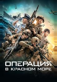 Операция в Красном море