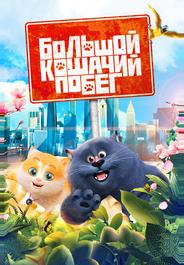 Большой кошачий побег