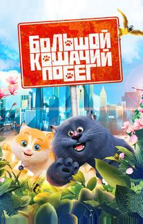 Большой кошачий побег