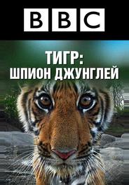 BBC: Тигр — Шпион джунглей