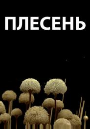 Плесень