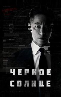 Чёрное солнце