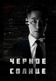 Чёрное солнце