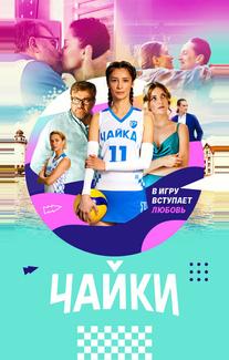 Чайки