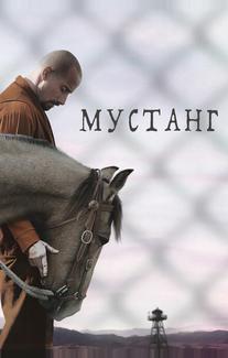 Мустанг