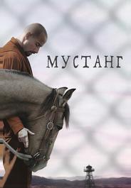 Мустанг