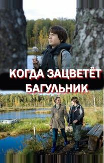 Когда зацветёт багульник