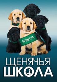 Выбор щенка