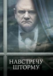 Навстречу шторму