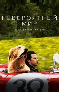 Невероятный мир глазами Энцо