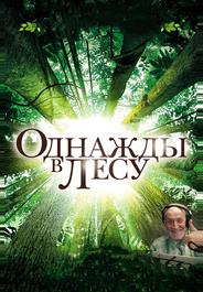 Однажды в лесу