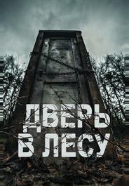 Дверь в лесу