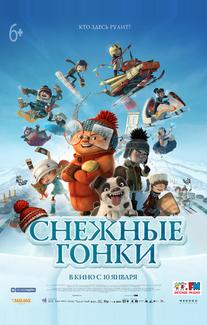 Снежные гонки