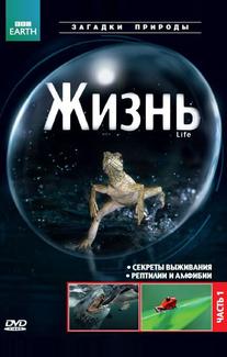 BBC: Жизнь