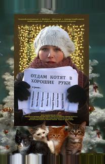 Отдам котят в хорошие руки