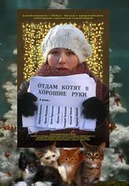 Отдам котят в хорошие руки