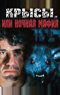 Крысы, или ночная мафия